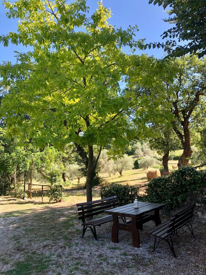 Il Casolare Degli Alburni Villa Castelcivita Kültér fotó